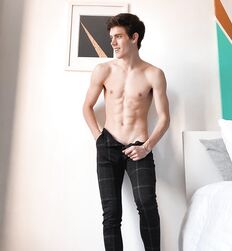EDWARD JAMES BAYER - AUSTRIAN MODEL 