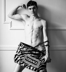 EDWARD JAMES BAYER - AUSTRIAN MODEL 
