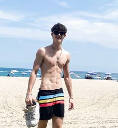 EDWARD JAMES BAYER - AUSTRIAN MODEL 
