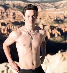 EDWARD JAMES BAYER - AUSTRIAN MODEL 