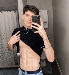 EDWARD JAMES BAYER - AUSTRIAN MODEL 
