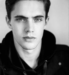 EDWARD JAMES BAYER - AUSTRIAN MODEL 
