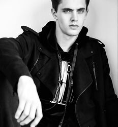 EDWARD JAMES BAYER - AUSTRIAN MODEL 
