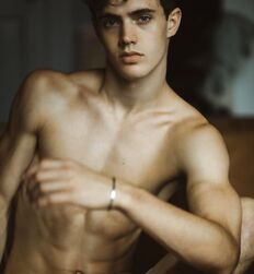 EDWARD JAMES BAYER - AUSTRIAN MODEL 