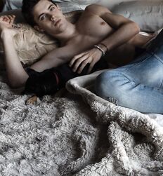 EDWARD JAMES BAYER - AUSTRIAN MODEL 