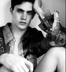EDWARD JAMES BAYER - AUSTRIAN MODEL 