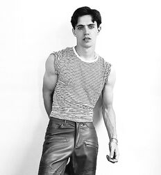 EDWARD JAMES BAYER - AUSTRIAN MODEL 