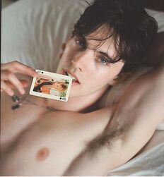 EDWARD JAMES BAYER - AUSTRIAN MODEL 