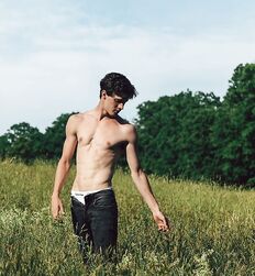 EDWARD JAMES BAYER - AUSTRIAN MODEL 