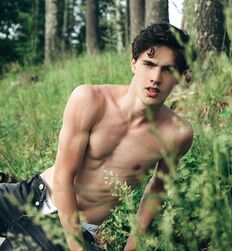 EDWARD JAMES BAYER - AUSTRIAN MODEL 