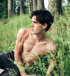 EDWARD JAMES BAYER - AUSTRIAN MODEL 
