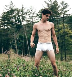 EDWARD JAMES BAYER - AUSTRIAN MODEL 