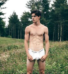 EDWARD JAMES BAYER - AUSTRIAN MODEL 