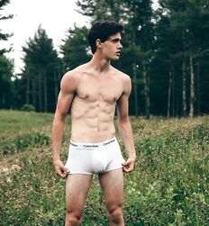 EDWARD JAMES BAYER - AUSTRIAN MODEL 