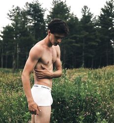 EDWARD JAMES BAYER - AUSTRIAN MODEL 