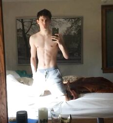 EDWARD JAMES BAYER - AUSTRIAN MODEL 