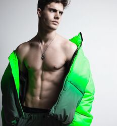 EDWARD JAMES BAYER - AUSTRIAN MODEL 