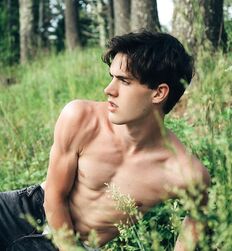 EDWARD JAMES BAYER - AUSTRIAN MODEL 