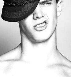 EDWARD JAMES BAYER - AUSTRIAN MODEL 