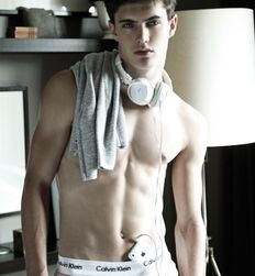 EDWARD JAMES BAYER - AUSTRIAN MODEL 