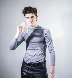 EDWARD JAMES BAYER - AUSTRIAN MODEL 