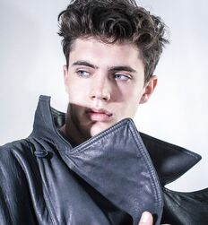 EDWARD JAMES BAYER - AUSTRIAN MODEL 