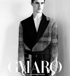 EDWARD JAMES BAYER - AUSTRIAN MODEL 