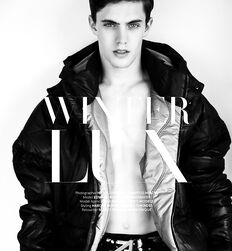 EDWARD JAMES BAYER - AUSTRIAN MODEL 