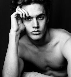 EDWARD JAMES BAYER - AUSTRIAN MODEL 