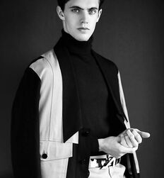 EDWARD JAMES BAYER - AUSTRIAN MODEL 