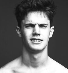 EDWARD JAMES BAYER - AUSTRIAN MODEL 