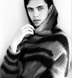 EDWARD JAMES BAYER - AUSTRIAN MODEL 