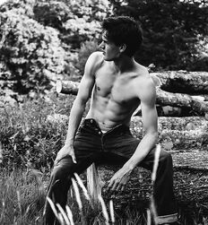 EDWARD JAMES BAYER - AUSTRIAN MODEL 