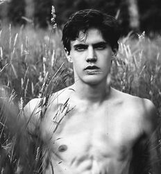 EDWARD JAMES BAYER - AUSTRIAN MODEL 