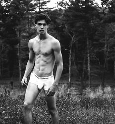 EDWARD JAMES BAYER - AUSTRIAN MODEL 