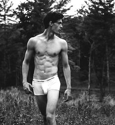 EDWARD JAMES BAYER - AUSTRIAN MODEL 