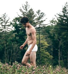EDWARD JAMES BAYER - AUSTRIAN MODEL 