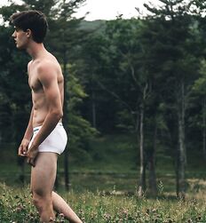 EDWARD JAMES BAYER - AUSTRIAN MODEL 
