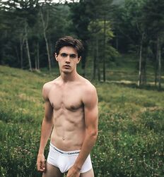 EDWARD JAMES BAYER - AUSTRIAN MODEL 
