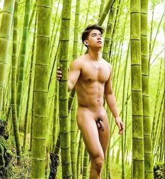 Take a walk around the memories gay porn 
