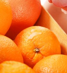 Algis studio set Orange picking solo Porn Gay 