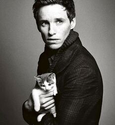 Mecs chauds avec des chats guys twink tube porn 