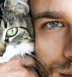 Mecs chauds avec des chats guys twink tube porn 