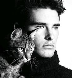 Mecs chauds avec des chats guys twink tube porn 
