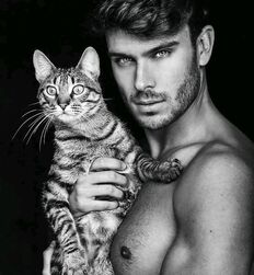 Mecs chauds avec des chats guys twink tube porn 