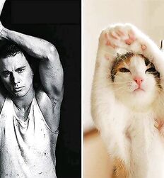Mecs chauds avec des chats guys twink tube porn 