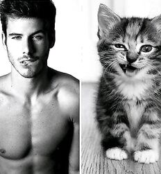 Mecs chauds avec des chats guys twink tube porn 
