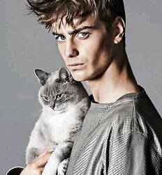 Mecs chauds avec des chats guys twink tube porn 