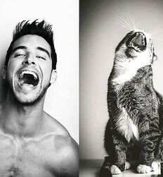 Mecs chauds avec des chats guys twink tube porn 