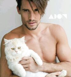 Mecs chauds avec des chats guys twink tube porn 